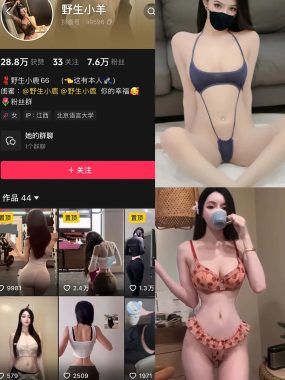 抖音 野生小羊 铁粉空间 合集 NO.001-006期 最新至：2024.12.15