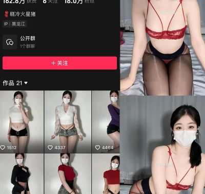 抖音 极品小姨 微密圈 NO.015期 【12P2V】最新至：2025.3.19