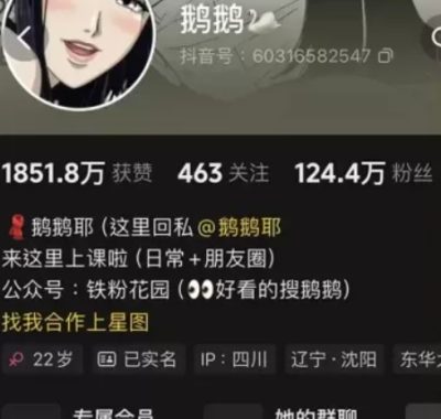 抖音[鹅鹅]铁粉空间视图资源合集网盘全套资源打包