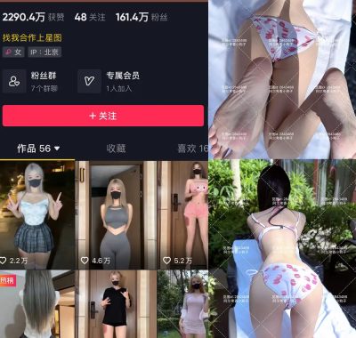 抖音 阿尔卑香小狗子 微密圈 NO.060期 【17P】最新至：2025.2.8