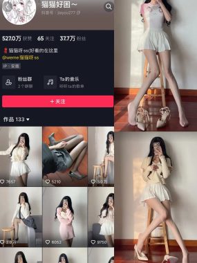 抖音猫猫好困微密圈视图资源合集下载