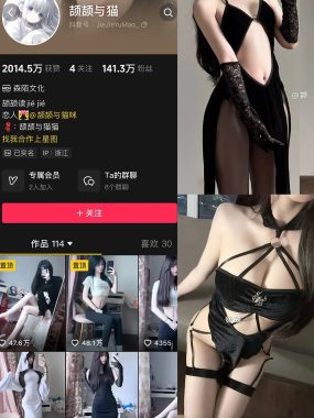 抖音 颉颉与猫 微密圈 合集 NO.001-013期 最新至：2025.1.9